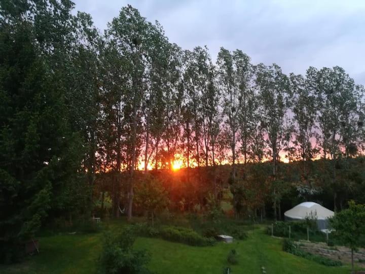 La Yourte Au Fonds Du Jardin Xhoris Екстериор снимка