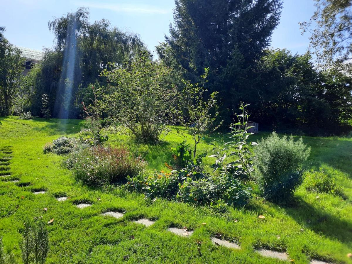 La Yourte Au Fonds Du Jardin Xhoris Екстериор снимка